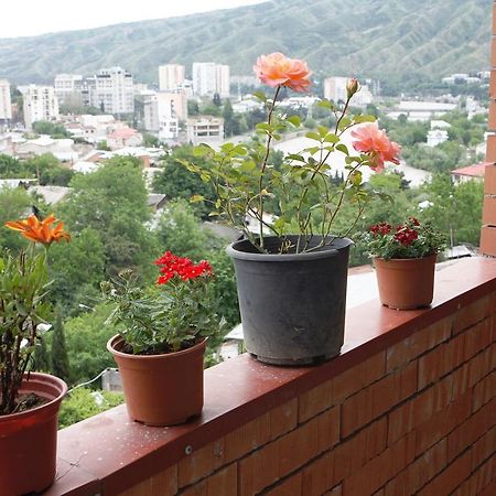 My House Is Your Hotel ティビリシ 部屋 写真