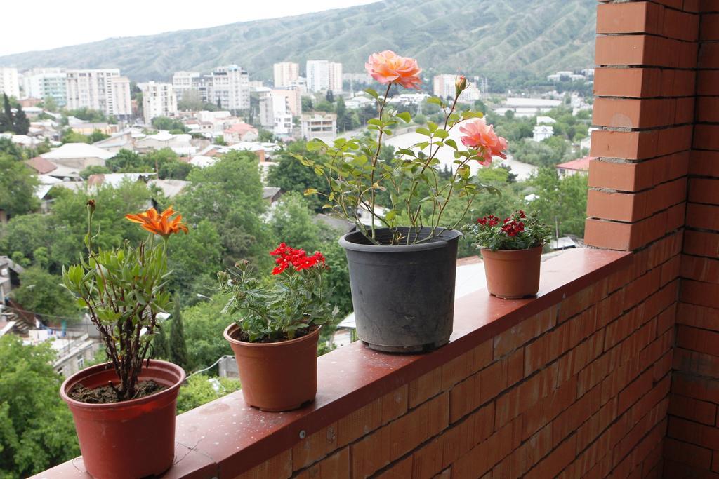 My House Is Your Hotel ティビリシ 部屋 写真